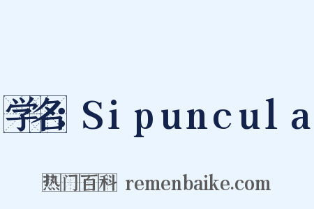 学名：Sipuncula是什么意思的图片